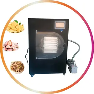 2024 Factory Price Chinese Herb Extraction Vacuum Freeze Dryer Vacuum Freeze Dryer Strawberry Fruit and Vegetable