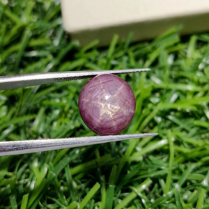 Rubis étoilé ovale cabochon, pierre précieuse naturelle d'Afrique du Sud pour la fabrication de bijoux (8,20 carats) - Product Image 1