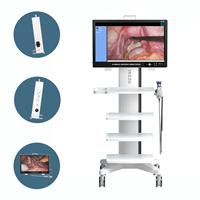 Caméra d'endoscopie chirurgicale 4K UHD IKEDA YKD-9132 certifiée CE pour l'urologie et l'urétéroscopie