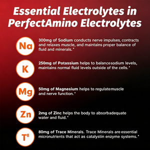 Quality Assurance Electrolyte Powder Contains Magnesium With Zinc Rapid Recovery Muscle Support Adult Fitness Powder 60 Servings - Product Image 2
