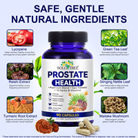 SOLOTREE OEM 90 Capsules Complément de Soutien de la Prostate pour Hommes Mélange de Champignons pour les Voies Urinaires Palmier Nain + 10 Herbes Vitamines