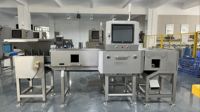 Industrieel röntgeninspectiesysteem voor noten, gedroogd fruit en pinda's