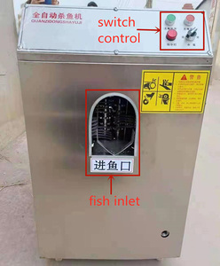 Línea de Producción de Filetes de Pescado OC-SY500A en Venta de Fábrica/Máquina Cortadora de Filetes de Salmón/Máquina Cortadora de Pescado - Product Image 3