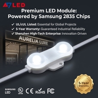 Module LED Samsung Chip 12V SMD 2835 étanche IP68, moulage ultrasonique, modules LED pour enseignes de 6 à 15 cm de profondeur