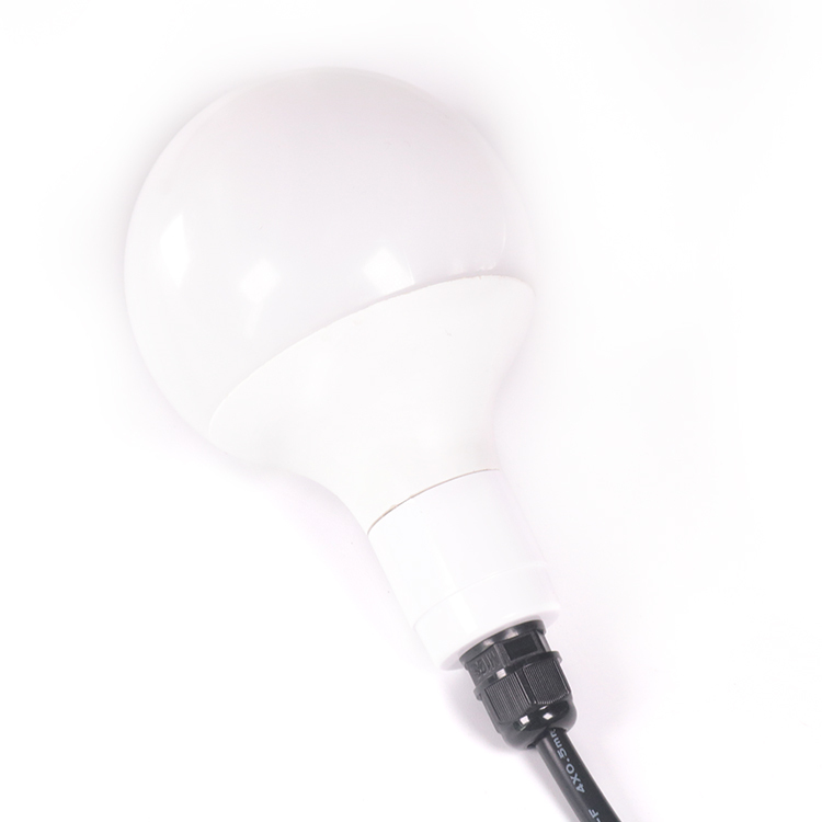24V 5050 60mm RGB LED DMX Pixel Bulb for Theme Park Decorative Lighting Point Lights with PC Material