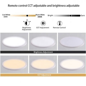 Luminaires plats de haute qualité Downlight 25W lumière de <span class=keywords><strong>maison</strong></span> commerciale moderne intérieur Wifi Tuya Led plafonnier intelligent pour la <span class=keywords><strong>maison</strong></span> - Product Image 2