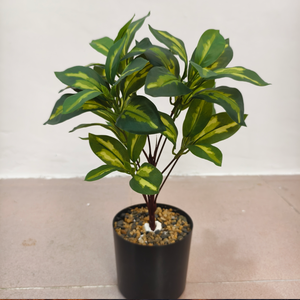 Árbol del Dinero Artificial, Planta Verde Decorativa en Maceta, Bonsái con Hojas de Dinero para Interiores, Sala de Estar - Product Image 5