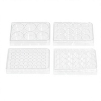 Plaque PCR en PP de 0,2 ml, micro-plaque à rebord convexe, plaque d'échantillonnage en plastique pour laboratoire
