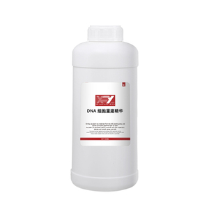 PDRN Lines DNA Regeneration Stretch Mark <span class=keywords><strong>Camouflage</strong></span> pour Kit de Microblading pour l'Académie Crème Anti-Vergetures - Product Image 6