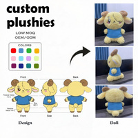 Jouets en peluche personnalisés OEM/ODM, Poupée de dessin animé DREAM Shirt Boy, Cadeaux de saison de remise des diplômes, Angol Kerék Itasbih, Jouet en peluche personnalisé en boîte mystère