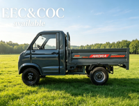 Mini camionnette électrique EEC 3000W 72V 100Ah haute puissance avec contrôleur 36 tubes et essieu arrière à changement de vitesse intégré