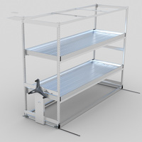 Étagères à semis sur roulettes personnalisées (5x10, 4x8, 3x8) avec poteaux d'éclairage LED pour serres agricoles et culture intérieure