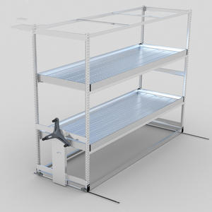 2023 תאילנד גידול גדול מקורה של הגינון פנימי - Product Image 3