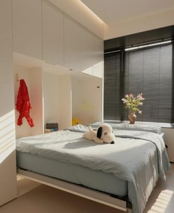 Letto a scomparsa moderno trasformabile a parete per un design flessibile della camera da letto - Product Image 1