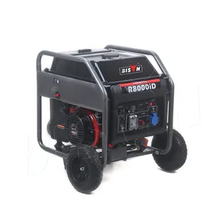 BISON(CHINA) 7 Kva 7Kw 8Kva Inverter Generator Silent Reine Sinus Welle 7000 Watt 7500W Benzin Inverter-Generator