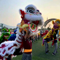 Costume de danse du lion authentique pour adultes et adolescents, en laine de haute qualité, avec lanterne en peluche de dragon, pour spectacle de danse du lion chinoise