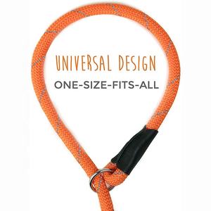 Correa para Perro Personalizada Ecológica de Poliéster con Patrón Sólido - Product Image 4