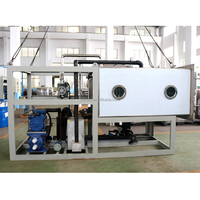 Industriële vriesdroogmachine, automatische commerciële lyofilisator voor vlees, fruit, voedsel en groenten, vacuümdroging