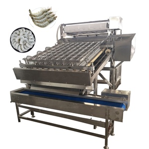 Macchina per Sbucciare e Devenireggiare i Gamberetti / Macchina per Rimuovere la Testa dei Gamberetti / Macchina Automatica per Sbucciare i Gamberetti - Product Image 5