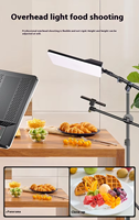 Panneau LED bicolore de 24 pouces à grande puissance pour studio vidéo, diffusion en direct mobile, selfie, TikTok, YouTube, Facebook, Aputure, Nanlite