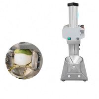 Commerciële elektrische jonge kokosnootschiller automatische fruit- en groenteschilmachine voor India en Maleisië