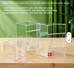 Nuevos Recintos <span class=keywords><strong>de</strong></span> Acrílico para Tarántulas, Casetas <span class=keywords><strong>de</strong></span> Cría <span class=keywords><strong>de</strong></span> Reptiles, Criaderos <span class=keywords><strong>de</strong></span> Arañas con Techo, Venta al por Mayor para Profesionales <span class=keywords><strong>de</strong></span> la Serología - Product Image 4