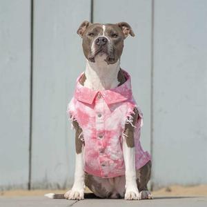 JXANRY Tide marca Teddy <span class=keywords><strong>Fado</strong></span> Corgi lavado chaqueta de mezclilla primavera/verano marea marca perro chaleco mascota perro chaqueta ropa - Product Image 5