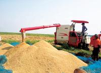 Moissonneuse-batteuse à riz et blé 102HP 4LZ-5, largeur de coupe de 2,0 m, réservoir à grain de 1,4 m³, haute efficacité, adaptable aux champs humides