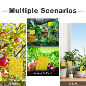 High - Tack Vegetable <span class=keywords><strong>Patch</strong></span> Insekten fallen: Halten Sie Ihren Gemüsegarten mit Leichtigkeit schädlings frei - Product Image 5