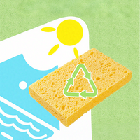 Éponge à vaisselle biodégradable et recyclable en pâte de bois compressée, double usage humide et sec, respectueuse de l'environnement, pour la maison