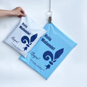 Sacs postaux personnalisés à prix réduit, faible MOQ, haute qualité, sacs d'expédition noirs mats avec logo, emballage poly pour vêtements, t-shirt - Product Image 1