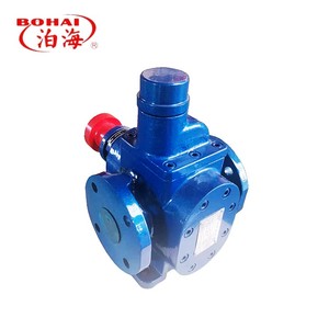 Pompe à engrenages rotative à faible bruit série YCB, entraînée par moteur, pour le transfert de biocarburant et d'huile biologique avec dispositif de sécurité - Product Image 6