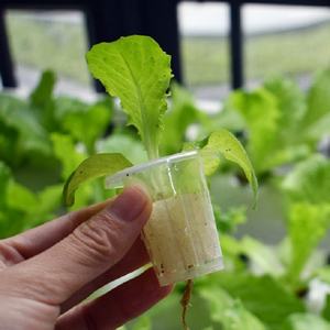 Sistemas Hidropónicos para Jardín Interior, Torre de Cultivo Vertical, Sistema de Cultivo de Microgreens con Canales NFT, Kit de Sistema Hidropónico - Product Image 3