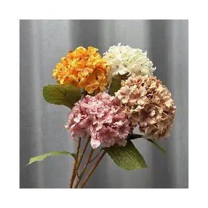 लोकप्रिय थोक रियल टच सिल्क हाइड्रेंजिया हेड्स ऑटम कलर सीरीज़शादी पार्टी सजावट के लिए हाइड्रेंजिया फूल