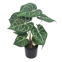 Plante artificielle de taro de 40 cm de hauteur, décoration de salon, faux petit bonsaï