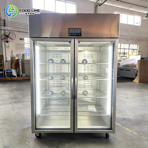 Grote volume ontdooikast voor diepvriesgroenten en -vis Professionele keuken ontdooikast met energiebesparende modus - Product Image 4