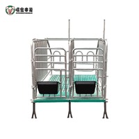 Équipement d'élevage de porcs galvanisé à chaud, cages de gestation pour truies, cages à porcs