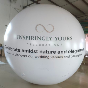 Ballon publicitaire <span class=keywords><strong>géant</strong></span> gonflable en PVC de 1,5 m de diamètre, personnalisé avec logo, prix usine - Product Image 3