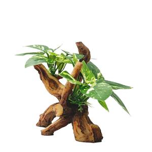 Branche de <span class=keywords><strong>bois</strong></span> flotté artificiel artificiel d'herbe <span class=keywords><strong>sous</strong></span>-marine de simulation <span class=keywords><strong>bois</strong></span> creux réaliste - Product Image 6