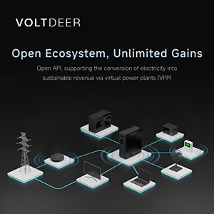 VOLTDEER Balcony PV Systems Complete Solar Energy System Generator Home Storage <b>Plug</b> & Play Compatible With Any PV <b>Remote</b> Contro - Product Image 4