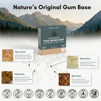 Gomme à mâcher reminéralisante à la menthe sans sucre avec xylitol et hydroxyapatite, favorise une haleine fraîche et la santé bucco-dentaire, à base de sapin de bois.