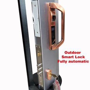 Cerradura electrónica de puerta de Villa impermeable al aire libre de alta calidad cerradura inteligente automática de huellas dactilares - Product Image 4