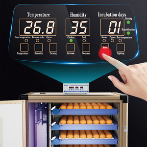 Yüksek Kuluçka Oranına Sahip Küçük ve Orta Ölçekli Endüstriyel İnkübatörün Yeni Tarzı - Product Image 3