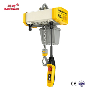 Palans <span class=keywords><strong>électrique</strong></span>s à chaîne avec protection IP55, capacité de 0,25 tonne, 3 m, certifiés CE, robustes, <span class=keywords><strong>pour</strong></span> levage industriel léger - Product Image 1