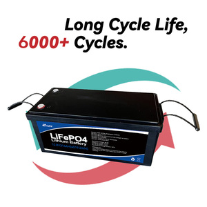 Batería de estado sólido de fosfato de hierro y litio <span class=keywords><strong>solar</strong></span> HIZN LiFePO4 48V 100Ah 200Ah 300Ah 400Ah con 6000 ciclos y 5 años de garantía - Product Image 5