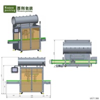 Ligne de machines de remplissage et de bouchage automatiques pour grandes bouteilles