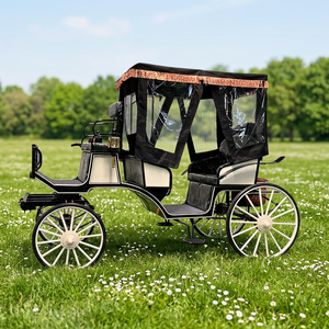 Nuevo Carro de Caballos de Lujo Ligero en Color Negro y Blanco para Paseos Turísticos, Carro Real Victoria con Toldo - Product Image 1
