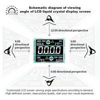 Module d'affichage LCD personnalisé TN HTN STN FSTN VA, affichage à cristaux liquides à 7 segments pour contrôleur de température, usine d'affichage LCD