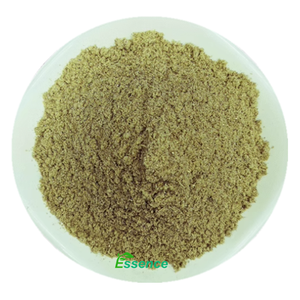 Cardamomo verde di migliore qualità con forte Aroma cardamomo verde polvere di cardamomo verde naturale polvere <span class=keywords><strong>Elettaria</strong></span> Cardamomum - Product Image 3