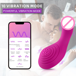 Vibrador Portátil para Ropa Interior con Control Remoto por Aplicación, Inalámbrico, 10 Frecuencias, Motor Dual, 20 dB, para la Masturbación Femenina - Product Image 2